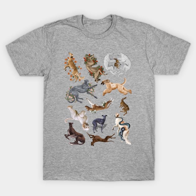 Sighthounds T-Shirt by VEROfojt